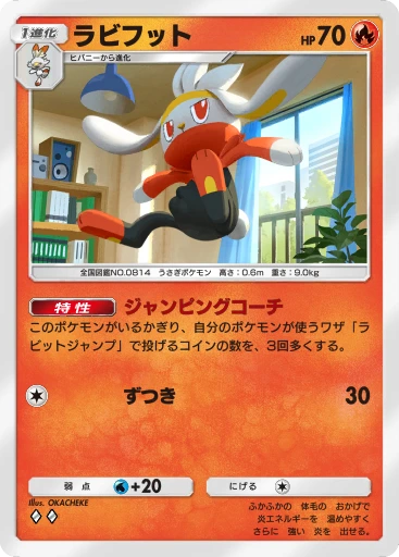 C1-023 ラビフット