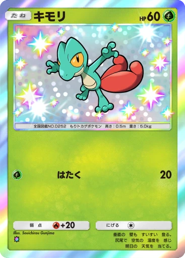 C1-188 キモリ