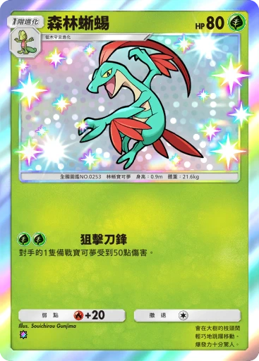 C1-189 森林蜥蜴